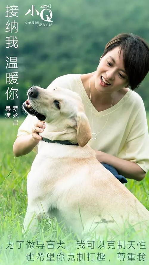 定制高仿斯托克学院文凭毕业证